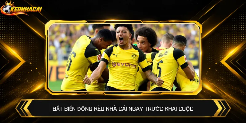 Bắt biến động kèo nhà cái ngay trước khai cuộc